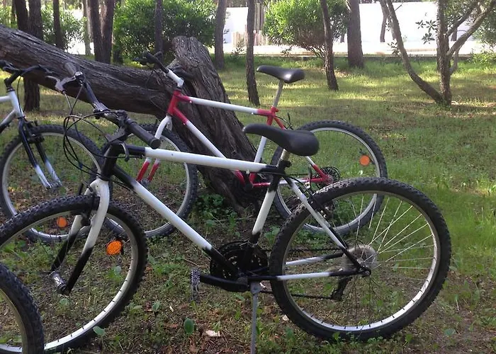 فندق Comvida كوياوس