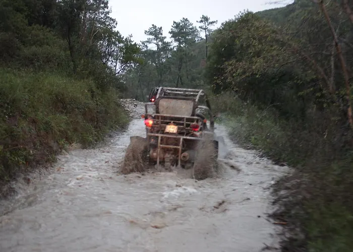 酒店 Comvida 基亚尤什