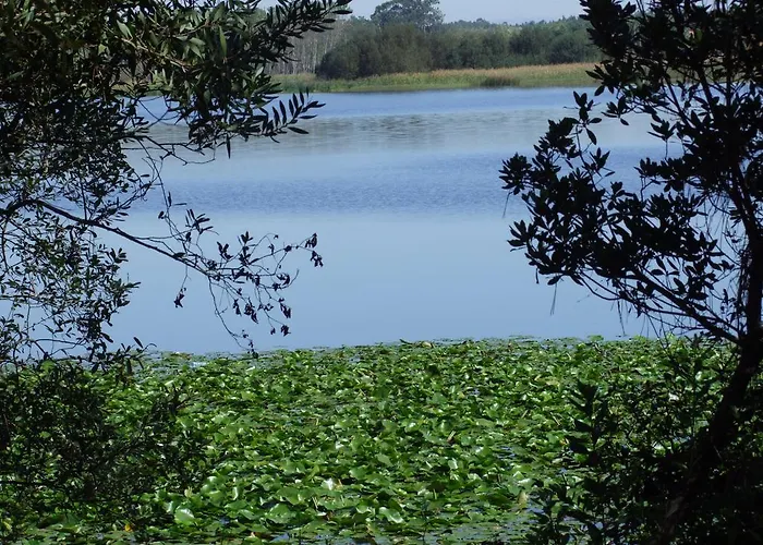 Comvida 3* 基亚尤什